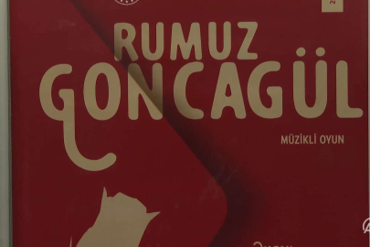 Zafer Algöz'le oyunculuk üzerine