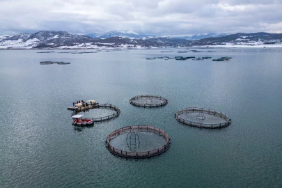 Tokat exports salmon to the world's largest markets