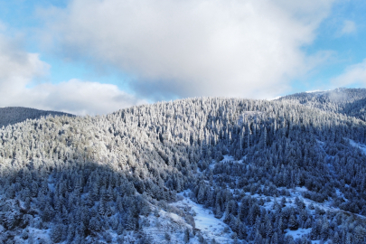 Ilgaz Dağı’nın eteklerindeki yaylalarda kartpostallık görüntüler