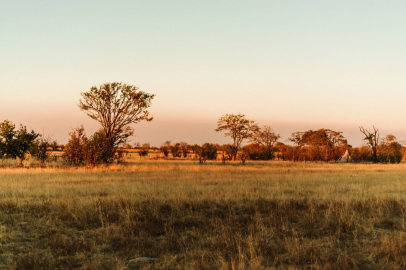 Türk turizmciler Afrika’ya açılıyor