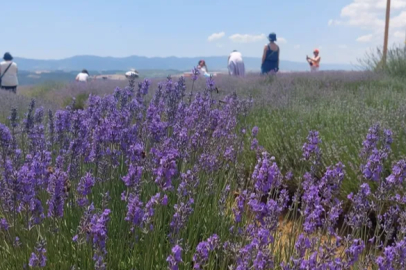 Purple tourism has started right next to Istanbul