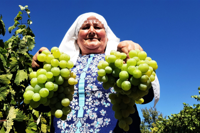 Zonguldak, Karabük ve Bartın'dan 7 ürün Ark of Taste Ağı'na girdi