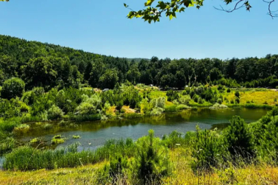 Water lilies have bloomed... Karagöl will be developed for tourism