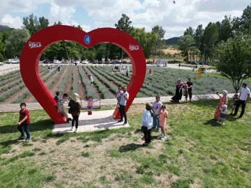 Lavanta bahçesi şehrin gözde mekanı oldu