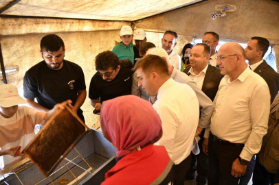 Vali Sarıibrahim, yaylada düzenlenen bal hasadına katıldı