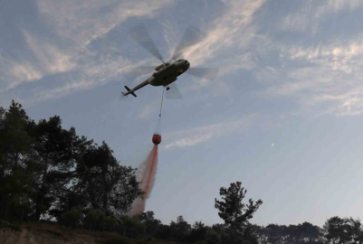 Germencik’teki yangın kontrol altına alındı