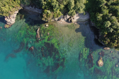 Burası ne Ege ne Akdeniz burası Karadeniz