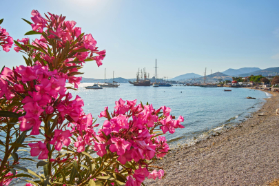 Bodrum’a yabancı ilgisi