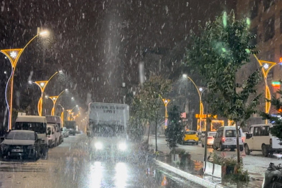 Yüksekova’ya kış erken geldi: Lapa lapa kar yağışı başladı