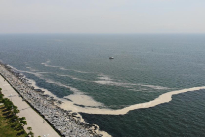 Marmara Denizi'nde Müsilaj Sorunu Yeniden Baş Gösterdi  