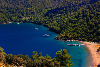 Bodrum’da İmara Açılan Orman Alanına TMMOB’den Tepki