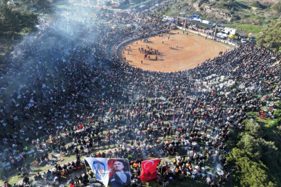 Efes Selçuk'ta Deve Güreşi Festivali Coşkusu